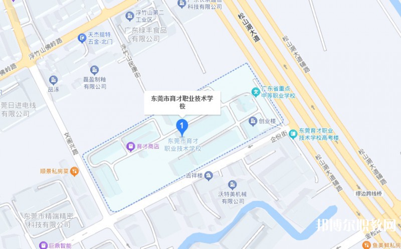 東莞市育才職業(yè)技術(shù)學校地址，乘車路線