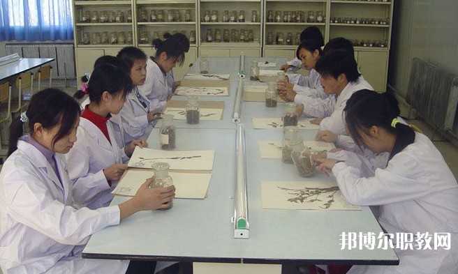 沈陽市中醫(yī)藥學校怎么樣、好不好