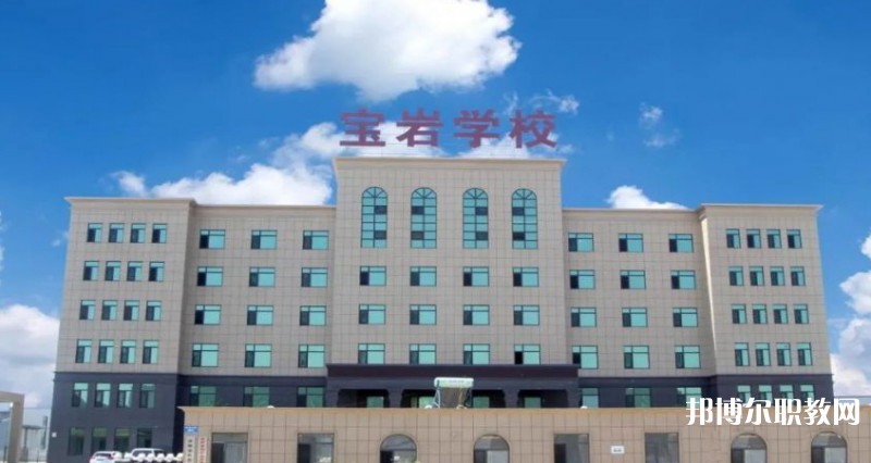 2025沈陽寶巖藝術(shù)學(xué)校招生計劃 招生人數(shù)是多少(附要求、條件、對象)